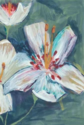 Lírios brancos em plena floração