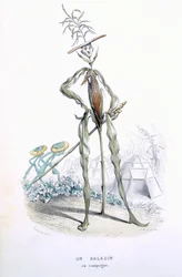 Um carrinho de criança country, de L&39;Empire des Legumes, Memoires de Curcurbitus, de Eugene Nus e Meray Antoine, 1851 (gravura colorida)