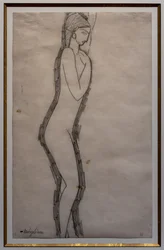 Perfil do hermafrodita