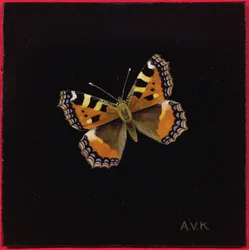 Pequena borboleta de tartaruga, 1998