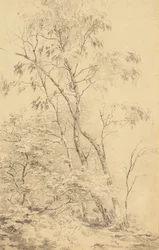 Árvores em Bromley [ou Árvores]
