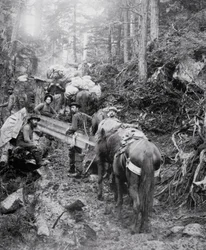 Subindo a Trilha Dyea a caminho do Passo de Chilkoot durante a Corrida do Ouro Klondike (1897-98) (foto a p/b)