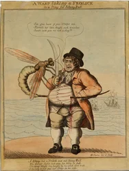 Uma vespa tomando um frolick, 1813 (gravura colorida à mão)