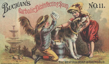 Propaganda para o Sabonete Desinfetante Carbônico Buchans No. 11, c.1880