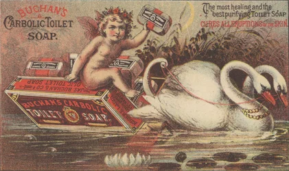 Propaganda para sabonete de toalete Carbolic de Buchan, c.1880