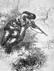 O Marksman Americano a subir uma árvore, durante a Guerra Revolucionária Americana (litho)