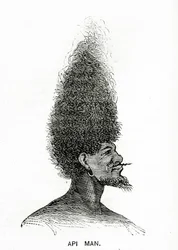 Api Man, ilustração do Appletons Journal, 4 de maio de 1872