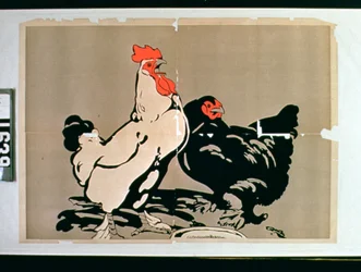 Galo e galinha