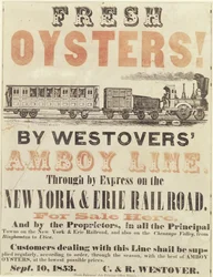 Ostras frescas! Por Westover Amboy Line, através da Express na New York & Erie Railroad, 10 de setembro de 1853