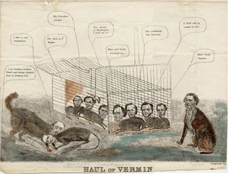 Transporte de Vermin, projetado por Squ., 1861