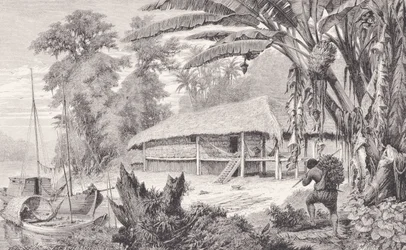 Casa de um rico colecionador de seringueiras da Índia, dos rios Amazonas e Madeira, de Franz Keller, 1874