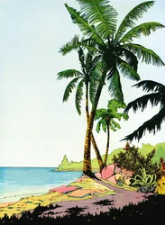 Ilustração do Paraíso das Praias com Palmeiras