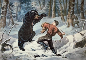 Jedediah Smith (1799-1831) sendo atacado por um urso pardo, c.1861 (cor litho)