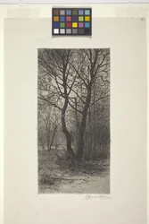 Jardim do Palácio de Nymphenburg, perto de Munique (gravura)