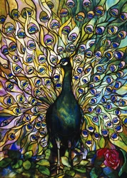 Pavão