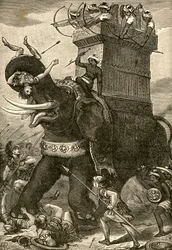 Elefante de Guerra Persa em Batalha