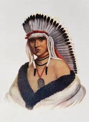 Petalesharro, um Pawnee Brave, ilustração "dos tribos indianos de America do Norte, Vol.1", por Thomas L. McKenney e por James Salão, bar. por John Grant (cor lito)