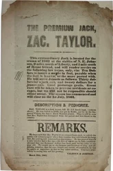 Processos e endereço da Convenção Constitucional, c.19 de março de 1861