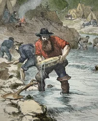 Prospecção de ouro durante a Corrida do Ouro Californiano de 1849 (gravura colorida)