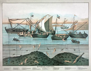 Sponge Fishing, pub. 1897 (litografia a cores)