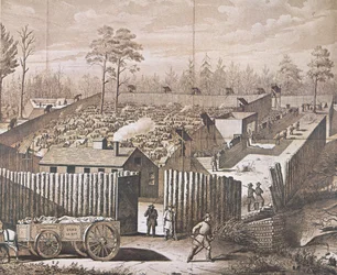 O Prisioneiro de Guerra de Andersonville (litho)