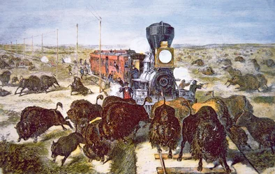 Treinar Passageiros na Estrada de Ferro Kansas Pacific, matando búfalos por esporte na década de 1870 (cor litho)