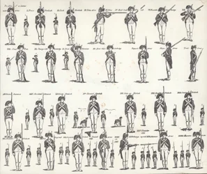 Manual de Armas dos EUA (litho)