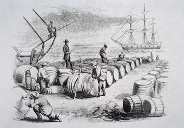 Baleeiros aferindo óleo em barris, da The American Whale Fishery, c.1850 (gravura)
