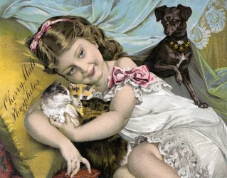 Menina Menina acariciando seus animais de estimação