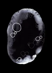 Essência Monocromática Bubble