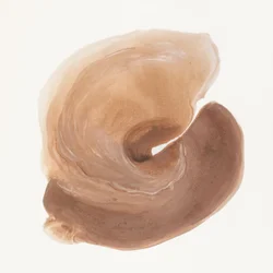 Espiral Castanha Orgânica