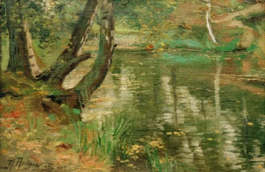 Paisagem verão rio com árvores