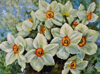 Narcisos em flor