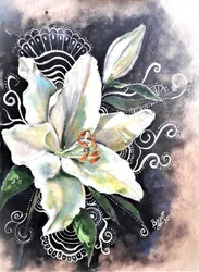 Elegante flor de lírio branco