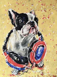 Frenchie com auscultadores
