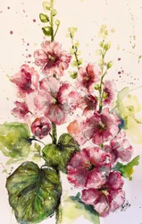 Malvas-rosa vibrantes