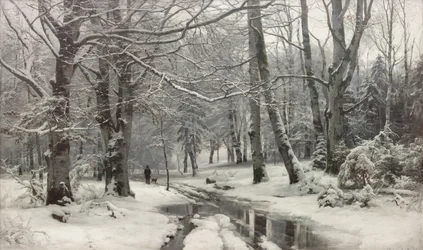 Tempo de orvalho em uma floresta de faias