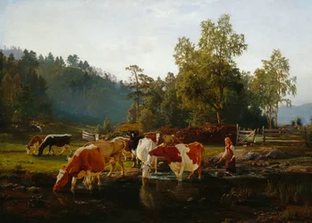 Vacas pelo rio