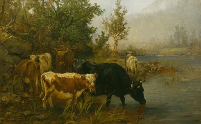 Vacas junto à água