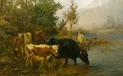 Vacas junto à água