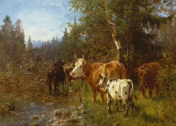 Vacas pelo posto de água