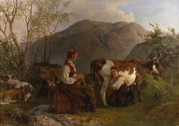 Damas de leite com vacas