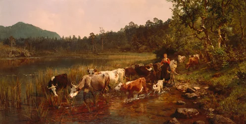 Dia de verão à beira do lago