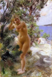 Apres le bain - After the Bath - Zorn, Anders Leonard (1860-1920) - 1895 - Óleo sobre tela - 53,5x36,5 - Nationalmuseum Stockholm