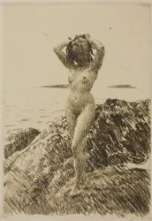 Hårtång (coroa de algas marinhas)