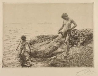 Skerries à beira-mar
