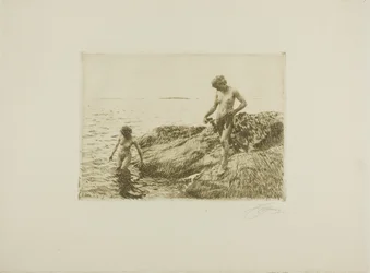 Skerries à beira-mar