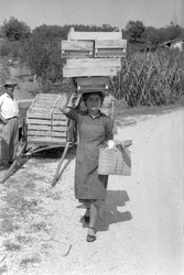 UVAS AMARGAS - FADIGA FEMININA