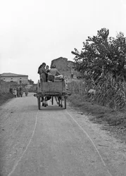 UVAS AMARGAS - IR E VOLTAR DO TRABALHO