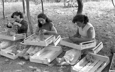 UVAS AMARGAS - SOLDADORES NO TRABALHO